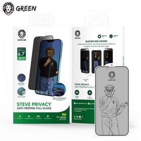 تصویر محافظ صفحه نمایش پرایوسی گرین لاین مدل اپل XوXSو11PRO glass Steve Privacy