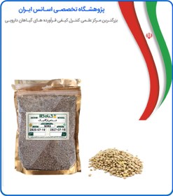 تصویر عدس ارگانیک 