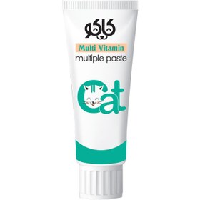 تصویر خمير ويتامينه گربه پرسا مدل کاکو KAKO Multi Vitamin Paste وزن 100 گرم خمير ويتامينه گربه پرسا مدل كاكو KAKO Multi Vitamin Paste وزن 100 گرم