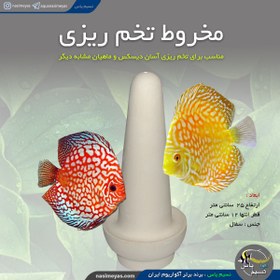 تصویر دوک تخم ریزی آنجل و دیسکس اکسیر 