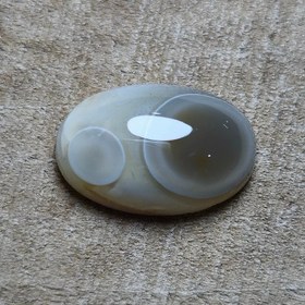 تصویر باباقوری دوچشم طبیعی 