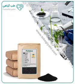 تصویر بذر خرفه خشک فله 