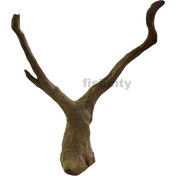 تصویر چوب آبنوس مدل گوزن 