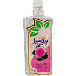 تصویر گلاب ممتاز پروهیل - ارسال از 3 روز کاری دیگر 