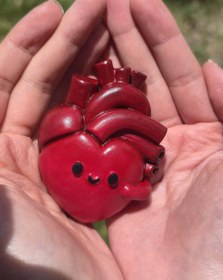 تصویر قلب آناتومیک کیوت 