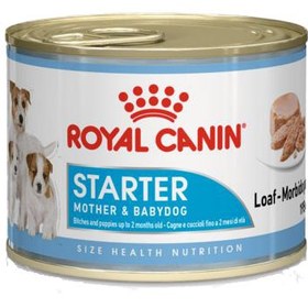 تصویر غذای کنسروی مناسب مادر شیرده و توله سگ برند رویال کنین Royal Canin Starter Mousse Mother & Babydog