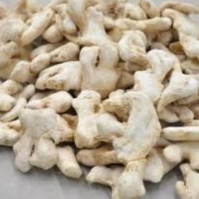 تصویر زنجبیل درشت و سالم 