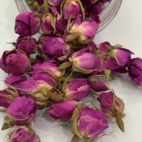 تصویر غنچه گل محمدی 