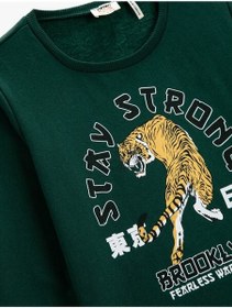 تصویر پلیور کودک / نوجوان کوتون koton | TYC00626072160 4308710