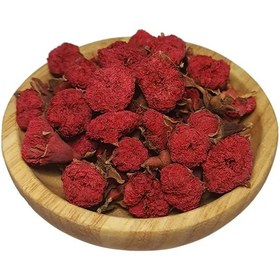 تصویر گلنار فارسی 