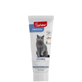 تصویر خمیر مالت گربه عقیم شده بیوفلاین BioFeline Strile Malt Paste وزن 100 گرم 
