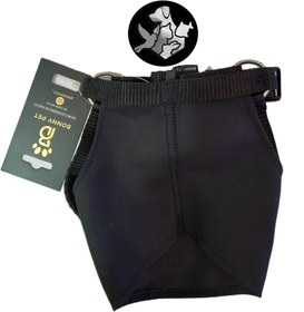 تصویر پوزه بند سگ 