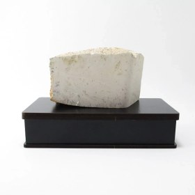 تصویر سنگ شجر فسیلی (دندریتی ) کد 2211 