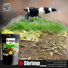 تصویر مکمل تقویتی میگو آب شیرین بی پلاس ای شریمپ A-Shrimp Bee Plus