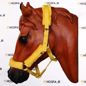 تصویر کله گیر خزدار اسب مدل خز رنگی 