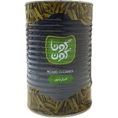 تصویر گوناگون خیارشور حلب 4 کیلویی 