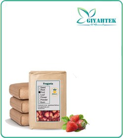 تصویر میوه توت فرنگی خشک فله 