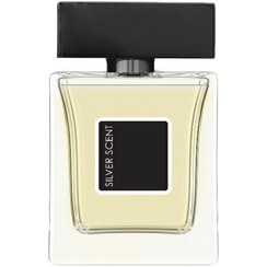 تصویر ادکلن مردانه پرستیژ مدل سیلور سنت حجم 100 میل Silver Scent