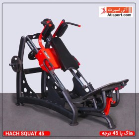 تصویر هاگ پا 45 درجه 