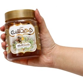 تصویر عسل گون کوهدشت - 600 گرم ( 6 عدد) 