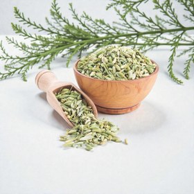 تصویر رازیانه 