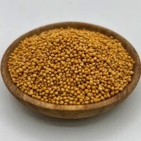 تصویر دانه خردل 