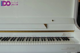 تصویر پیانو طرح آکوستیک کاسیو CDP-S100 Plus Casio CDP-S100 Plus acoustic design piano