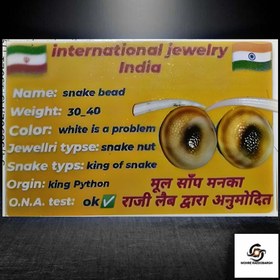 تصویر مهره مار پایتون 