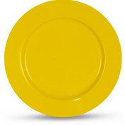 تصویر بشقاب ملامین نشکن پلوخوری Unbreakable melamine plate