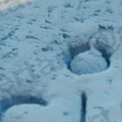 تصویر رنگ گریم آبی روشن شماره 26 سیلک 