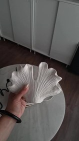 تصویر مرجان بزرگ 