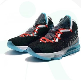 تصویر کفش بسکتبال مردانه نایک Nike Lebron 17 