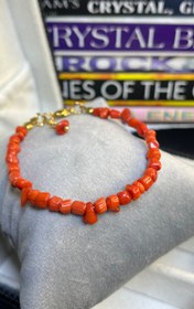 تصویر مرجان قرمز 