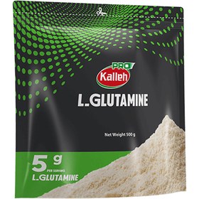 تصویر پودر ال گلوتامین وزن 500 گرم 