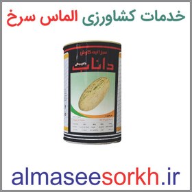 تصویر بذر خربزه درگزی ( افغانی) داناب ایران 