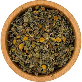 تصویر بابونه اردبیلی 