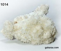 تصویر سنگ زینتی آراگونیت مرجانی 