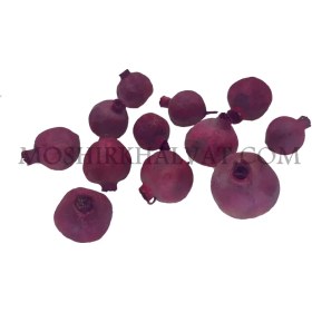 تصویر انار خشک تزیینی 