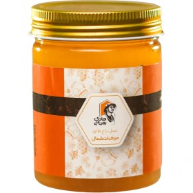 تصویر عسل بهاره 