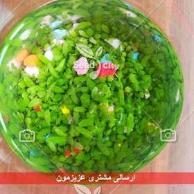 تصویر بذر خزه آکواریوم – Akvaryum Grass 