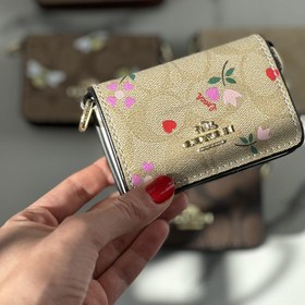 تصویر مینی بگ کوچ 