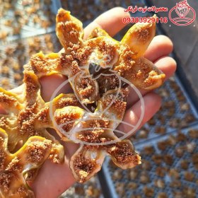 تصویر برگه انجیر محلی 