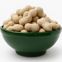 تصویر بادام زمینی با غلاف تازه آستانه 