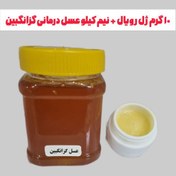 تصویر ژل رویال 10 گرم ترکیب با نیم کیلو عسل طبیعی خرید مستقیم از زنبوردار ارسال رایگان 