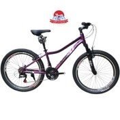 تصویر دوچرخه کوهستان اینتنس Intense مدل Champion CV300 سایز 24 