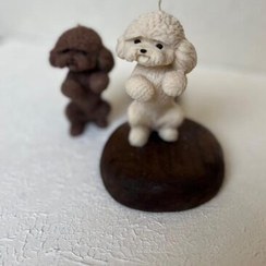 تصویر شمع سگ پودل کوچولو 