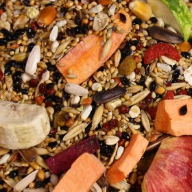 تصویر غذای طوطی کانور پریمیوم 