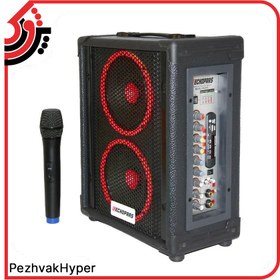 تصویر اکو همراه اکو پارس ECHOPARS PA-2906 MIC 