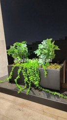 تصویر اجرای پروژه نمای ساختمان 