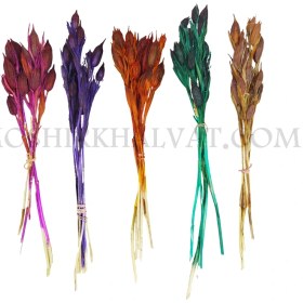 تصویر گل خشک مدل زنبق 